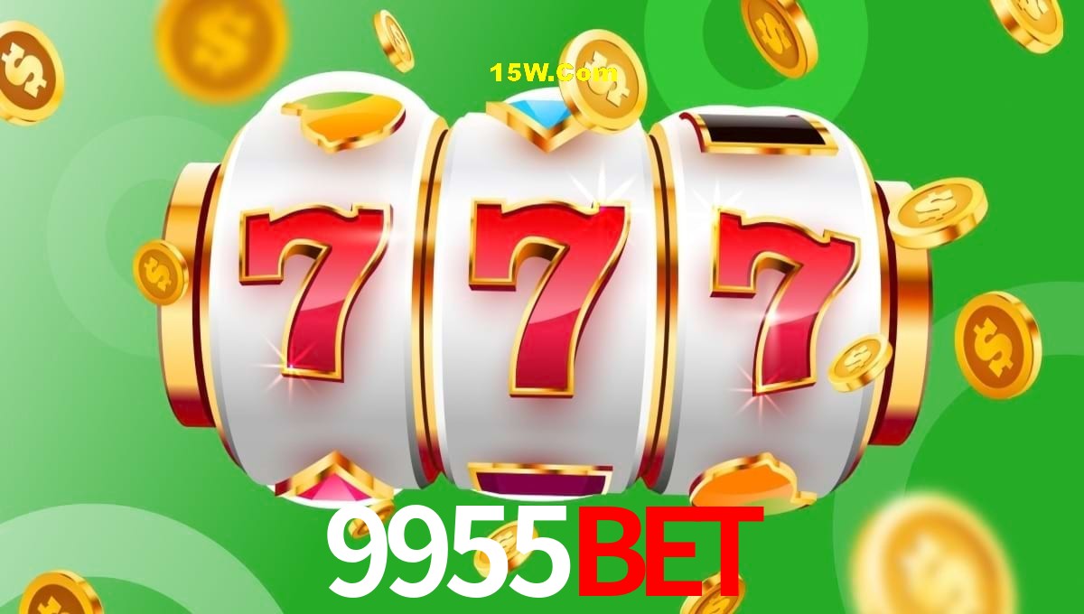 Security Systems 9955Bet